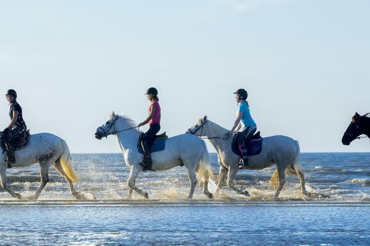 Charmant 2 Pieces A 500 M Des Plages Et Du Centre Cabourg Kültér fotó